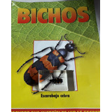  Bichos Escarabajo Cebra   + Fascículo
