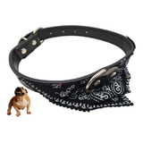 Collar Para Perros Con Pañuelo Colo Negro 42.5cm