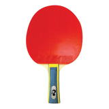 Paleta Ping Pong Premium Clásica 3 Estrellas