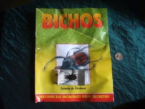Coleccion Bichos Cetonia De Formosa  . Rba Nuevo Oferta
