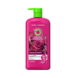 Herbal Essences Color Me Happy Color Champú Segura 33,8 Onza