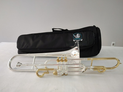 Trombone Weril F671 Sib - Prateado C/ Laqueado -6500 A Vista