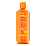 Shampoo Cantu Con Manteca De Karite Rulos Rizos