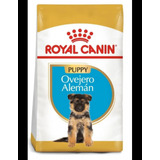 Royal Canin Ovejero Alemán Junior 12 Kg - Animal Brothers 