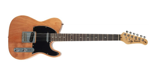 Jay Turser Jt Lt Telecaster Rosewood Guitarra Electrica