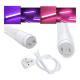 20 Tubular Led T8 9w 60cm Bivolt Rosa | Roxa + 20 Soquetes