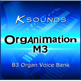 Korg M3 - Organimation