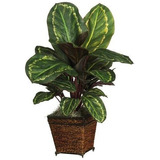 6590 05 Maranta Cesta Planta De Seda Decorativa Verde