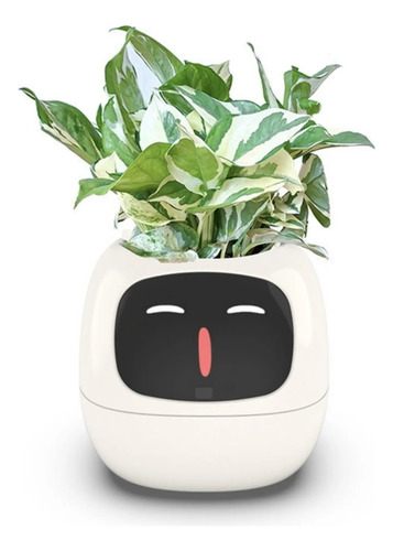 Sembradora Inteligente Para Mascotas Planta Inteligente Con