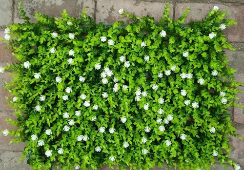 Panel Muro Verde Artificial 40x60 Premium Cerco Seto Flores