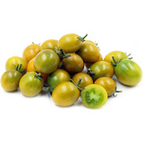 Semillas De Tomate Uva Verde Orgánicas Alta Germinación 