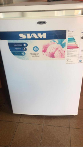 Freezer Siam Vertical 90 Lts