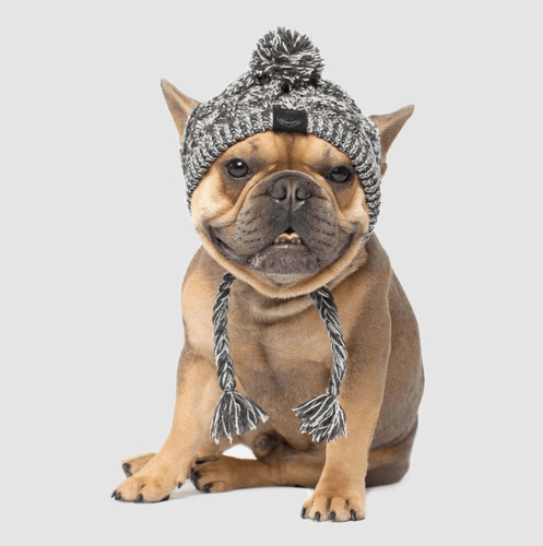 Canada Puppy Ltd® Gorro De Invierno Para Mascotas Large