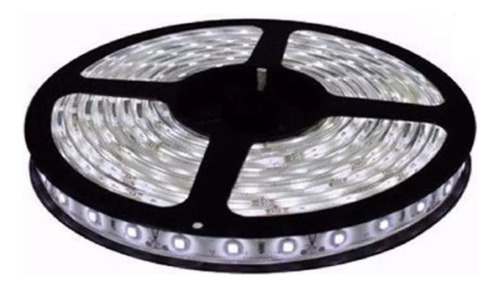 Rollo Tira Luz Led Blanca Fria Interior 5m 12v Candela 7346