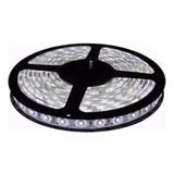 Rollo Tira Luz Led Blanca Fria Interior 5m 12v Candela 7346