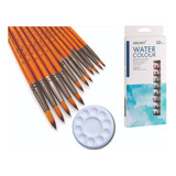 Kit Aquarela Sinoart 12 Bisnaga + Gode Tampa + Pinceis