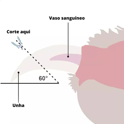 Kit Alicate Para Pet Tesoura Rosa Corte De Unhas Caes E Gato