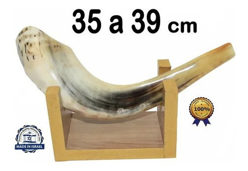 Shofar Chifre De Carneiro De Tocar Ou Ungir/unção + Suporte 