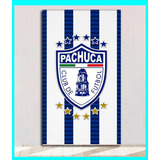 Cuadro Decorativo Pachuca Fc 29x50 Cm Pachuca Escudo Tuzos 
