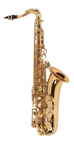 Saxofone Tenor Vogga Vsts701n Laqueado Em Bb (si Bemol)
