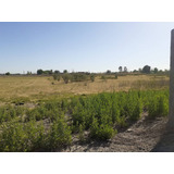 Venta Lote En Corralitos