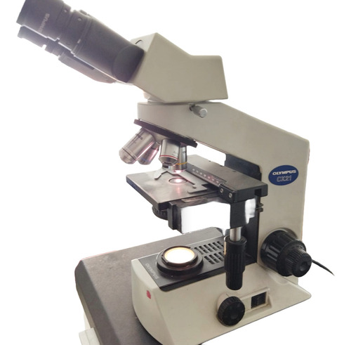 Microscopio Olympus