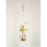 Vaso Decorativo Para Plantas, Vaso Suspenso De Vidro - Tam M