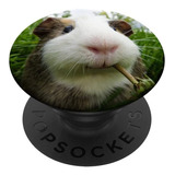 Guinea Pig Close Up Popsockets - Agarre Y Soporte Para Tele