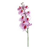 Haste Orquidea Phalaenopsis X9 103cm 1464 Purpura