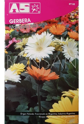 Sobre Semillas Flores As Gerbera Margarita Africana Mix 