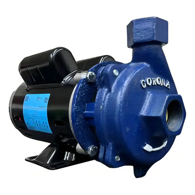 Bomba de Agua Centrífuga WEG 1HP Bifásica Motor Cobre Alto Caudal | Envío gratis