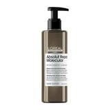 L´oréal Absolut Repair Molecular Sérum Capilar 250ml