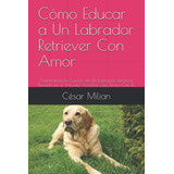 Libro: Cómo Educar A Un Labrador Retriever Con Amor: Adiestr
