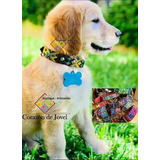 15 Collares Para Mascotas/perros Artesanal De Piel Bordados