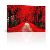 Cuadro Decorativo Canvas Naturaleza Bosque Camino Rojo