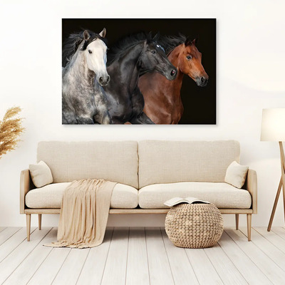 Caballos Colores Realista, Cuadro Decorativo Canvas Multicolor No | Meses sin interés