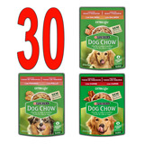 Sache Ração Dog Chow Atacado Kit 30 Ração Sabores Sortidos