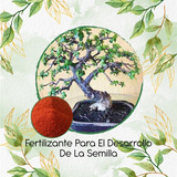 Fertilizante Para El Desarrollo De Bonsái Búcaro - Cachimbo