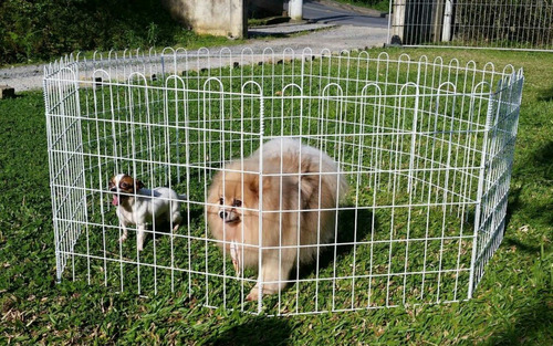 Cercado Portátil Para Cães / Cercadinho De Arame Pet