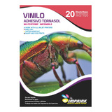 Caja 20un Vinilo Adhesivo Holografico Liso Tornasol A3/10h
