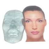 Face Para Treino De Harmonização Facial Rinomodelação