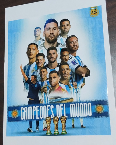 Selección Argentina Imán Para Heladera Tam Aprox 23 X 19 