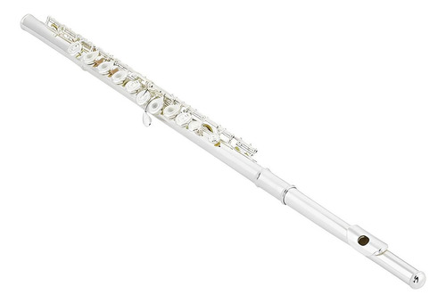 Yamaha Yfl-362h Flauta Transversal Profesional Con Estuche Color Plateado