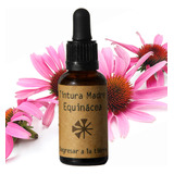 Tintura Madre Equinácia 30ml (sist Inmunológico Antibiótico)