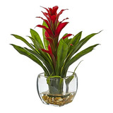 Casi Natural 6897a Bromelia Con Jarron De Vidrio Arreglo P