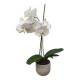 Maceta Para Orquídeas Bala De Grey Basics