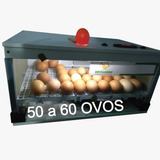 Chocadeira  50 Ovos Automática Brinde  Resistencia