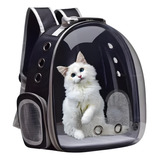 Mochila Pet Para Transporte De Cães E Gatos Visão Panorâmica