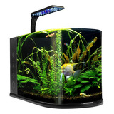 Lomas Acuario Nano Bullet 12 L.