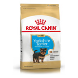 Royal Canin Perro Yorkshire Terrier Junior X 1kg Caba